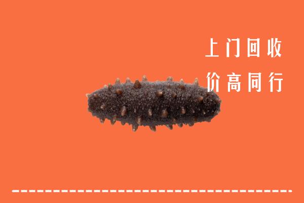 高价求购：义安区回收海参
