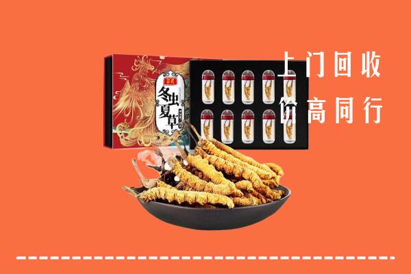 义安区回收虫草
